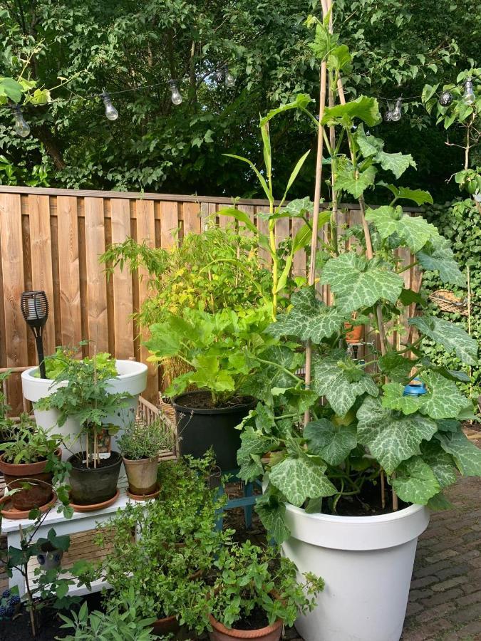 Bed & Breakfast Jo Amsterdam Diemen Bagian luar foto